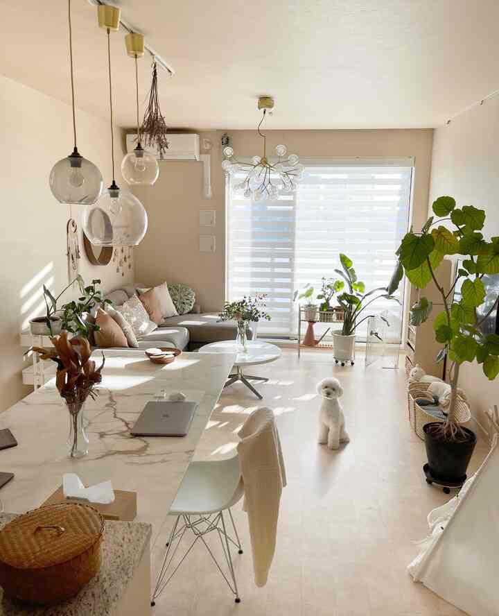 🇯🇵 動物と植物が好きなデザイナーのおうち