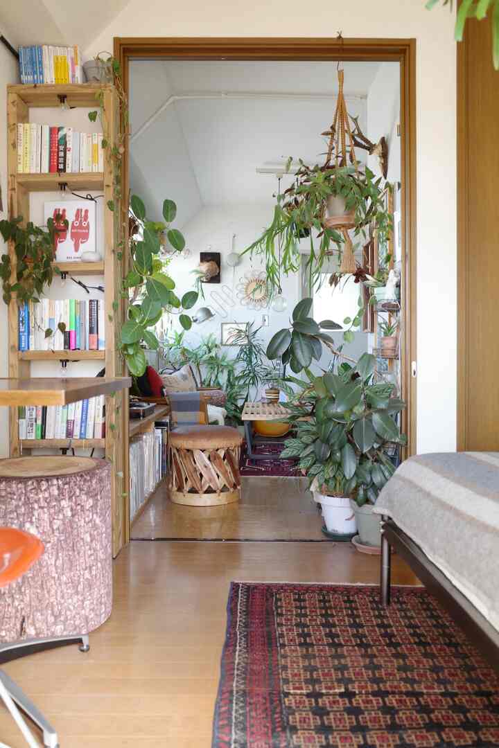 🇯🇵 100の植物に囲まれた都会のグリーンルーム