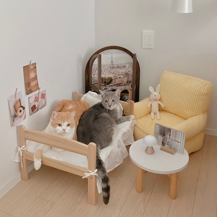 집사야 우리 집도 이렇게 꾸며줘~🐱 포근한 펫테리어, 오늘의집 고수들의 꿀팁 | 라이프스타일 슈퍼앱, 오늘의집