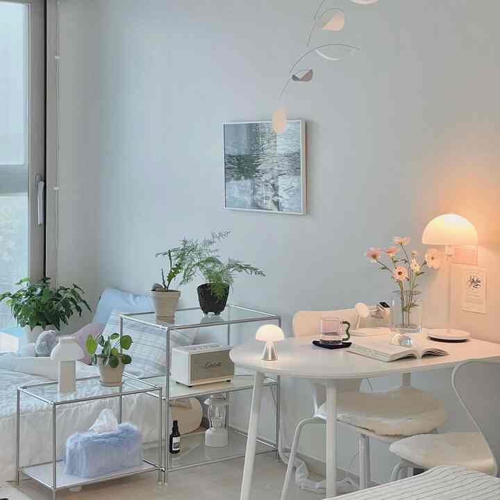 🇰🇷 白x水色の1R：自然を部屋に取り入れる