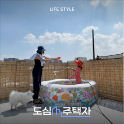 아파트에서 북촌 주택으로! 이사 후 알게 된 것들✨