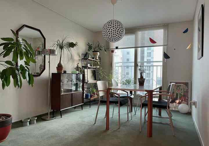 🇰🇷 2DKで一人暮らし：ヴィンテージ家具と観葉植物で居心地良い空間を