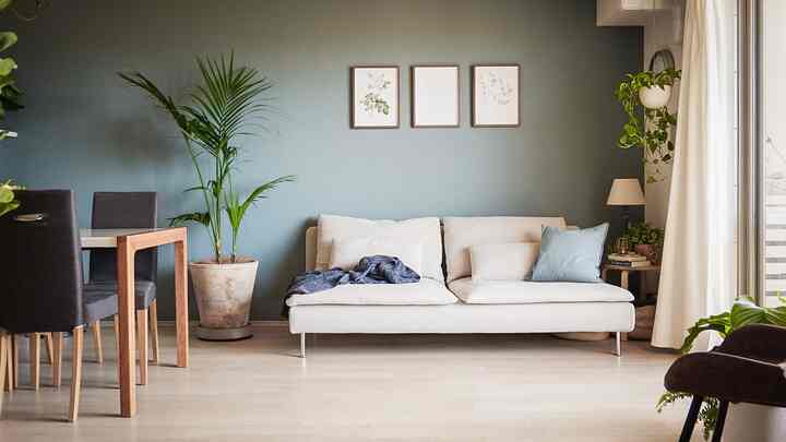 🇯🇵 部屋ごとに異なる世界観：植物とDIY好きのマンションインテリア