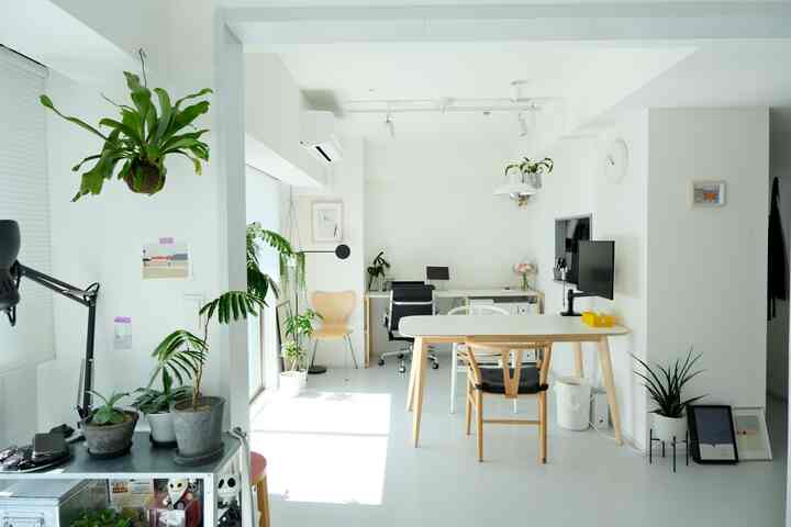 🇯🇵 賃貸でも理想のインテリアに！DIYで叶えたホワイトトーンの1LDK