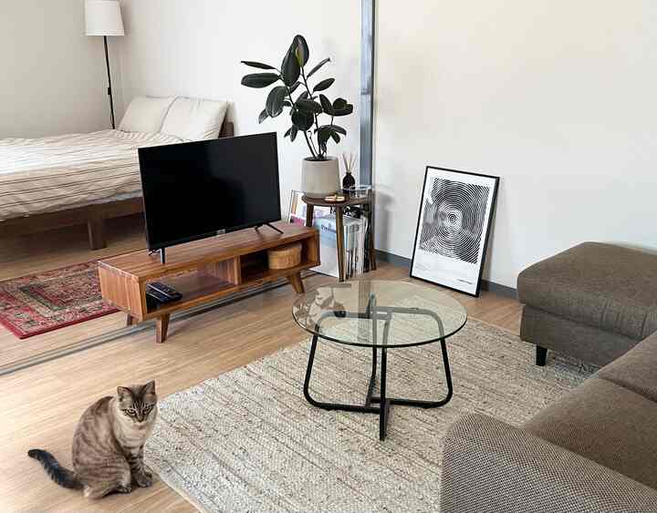 🇯🇵 愛猫と暮らすシンプルで海外チックな1DK🐈