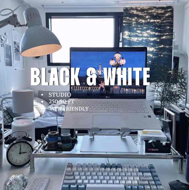 Inside a black-and-white 250 sq ft apartment with a WFH area