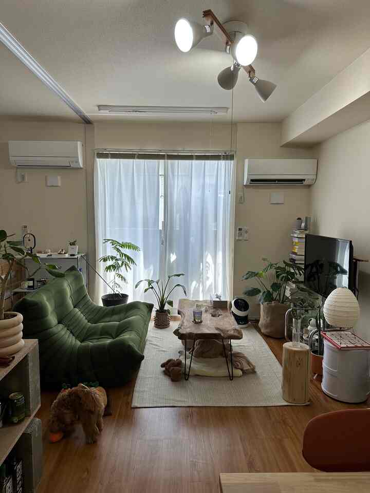 🇯🇵 1LDKメゾネット🐶二人と一匹で過ごす好きを集めた空間