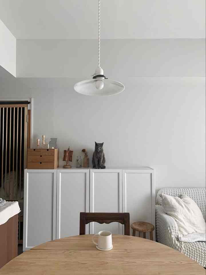 🇯🇵 元保護猫と暮らす🐈アンティーク家具が彩る1LDK