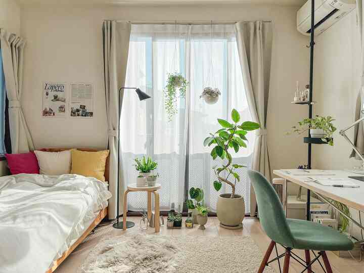🇯🇵 植物とデスクが主役🪴光あふれる北欧モダン1K一人暮らし