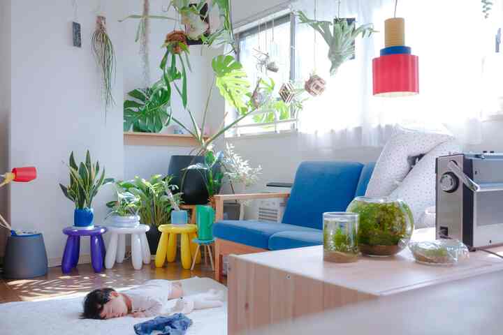 🇯🇵 植物とカラフル家具に囲まれた2LDK賃貸3人暮らし