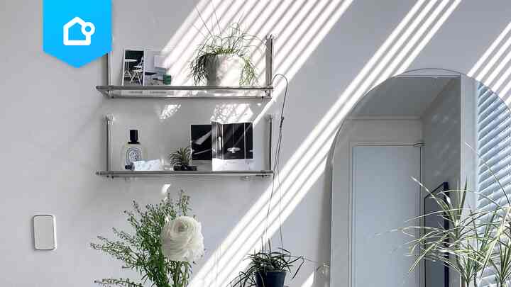 📌 【特集】お部屋に欠かせない！全身鏡あれこれ🪞