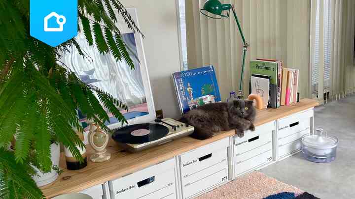 📌 【特集】新生活の収納問題を解決！おしゃれに隠せる収納アイディア3選