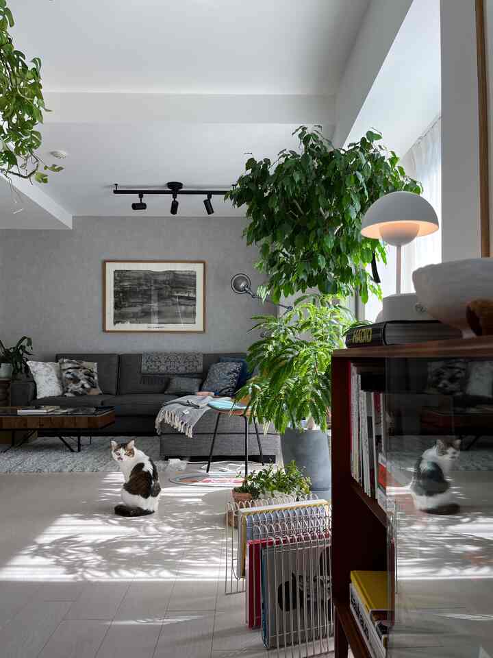 🇯🇵 中古マンションをリノベーション：余白スペースでアートを楽しむ暮らし