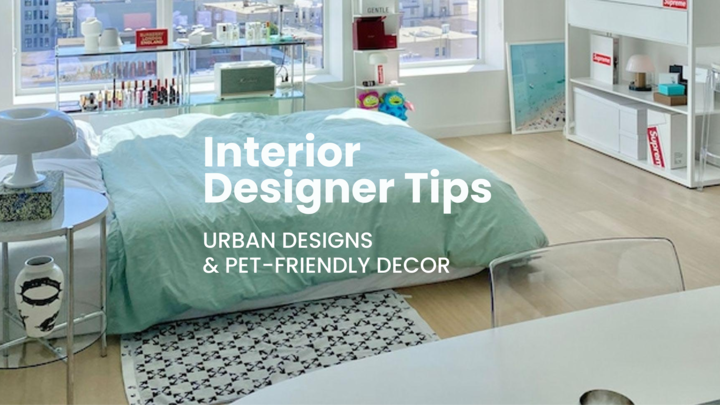 Design secrets for a pet-friendly urban oasis