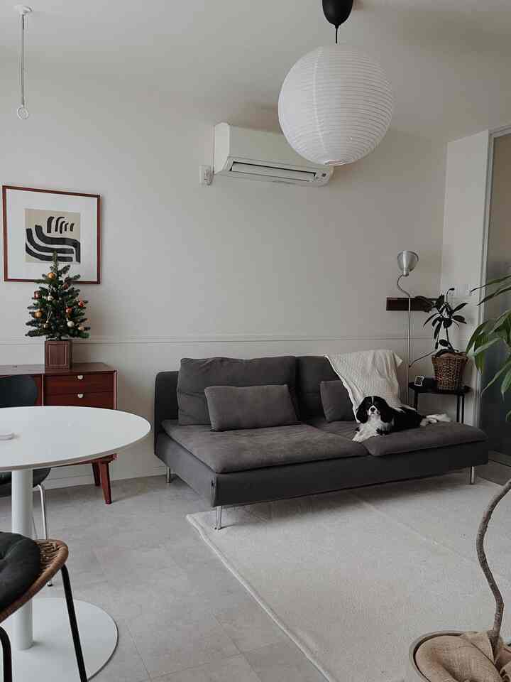 🇯🇵 わんこと暮らす1LDK：シンプルインテリアに温かみを加えたお部屋