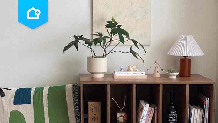 📌 【特集】おうちを爽やかに彩る！観葉植物のあるお部屋🪴