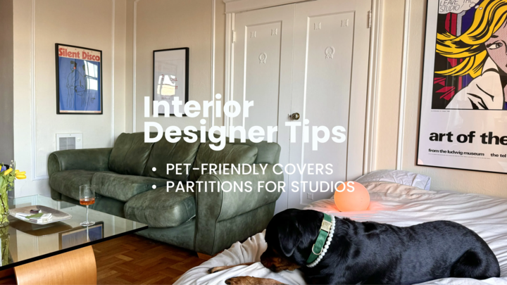 Creative ways to section off a tiny studio with a dog