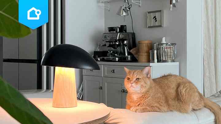 📌 【特集】小さくても存在感抜群！テーブルランプ4選💡