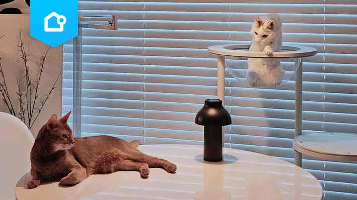 📌 【特集】ユーザーさんに大人気💡HAYのおすすめ照明3選