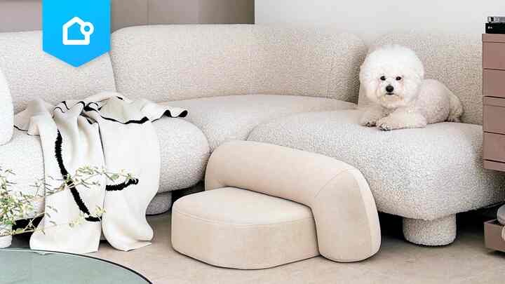 📌 【特集】犬とインテリア第2編