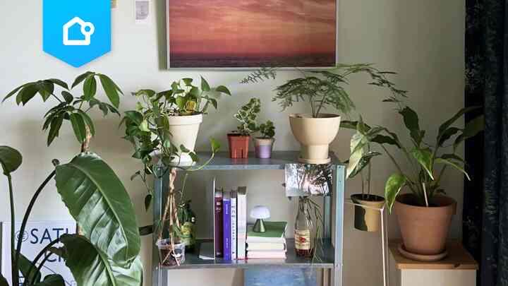 📌 【特集】IKEA HYLLISの活用法