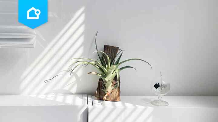 📌 【特集】実験器具がオブジェに！不思議な魅力のラジオメーター