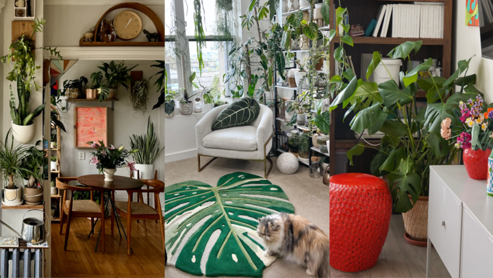 Step inside 3 small urban homes filled with big plants
