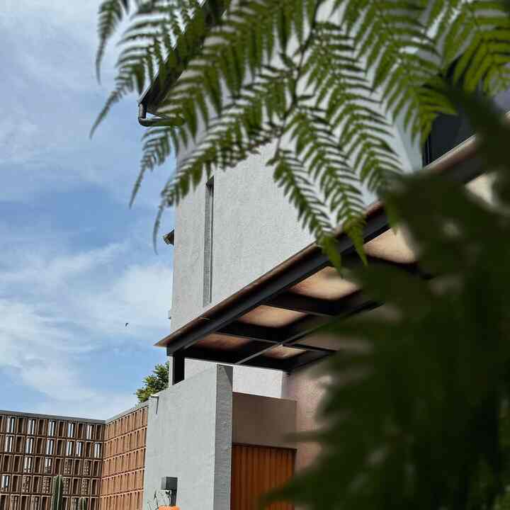 [O!Tips] Ide Tanaman untuk Fasad Lebih Manis