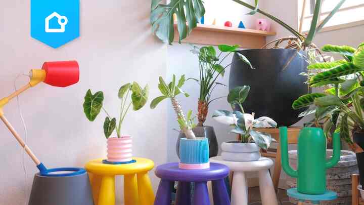 📌 【特集】ポップな「プランター」でお部屋にアクセントを！
