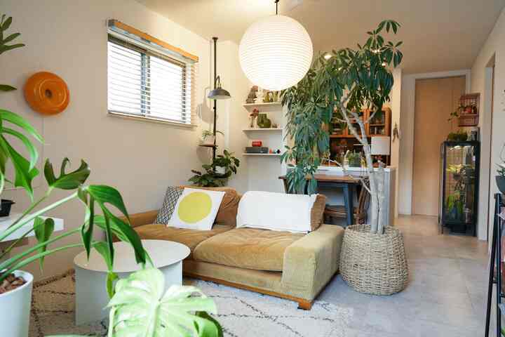 🇯🇵 植物×インテリア🌱限られた空間で作る居心地の良い1LDK二人暮らし