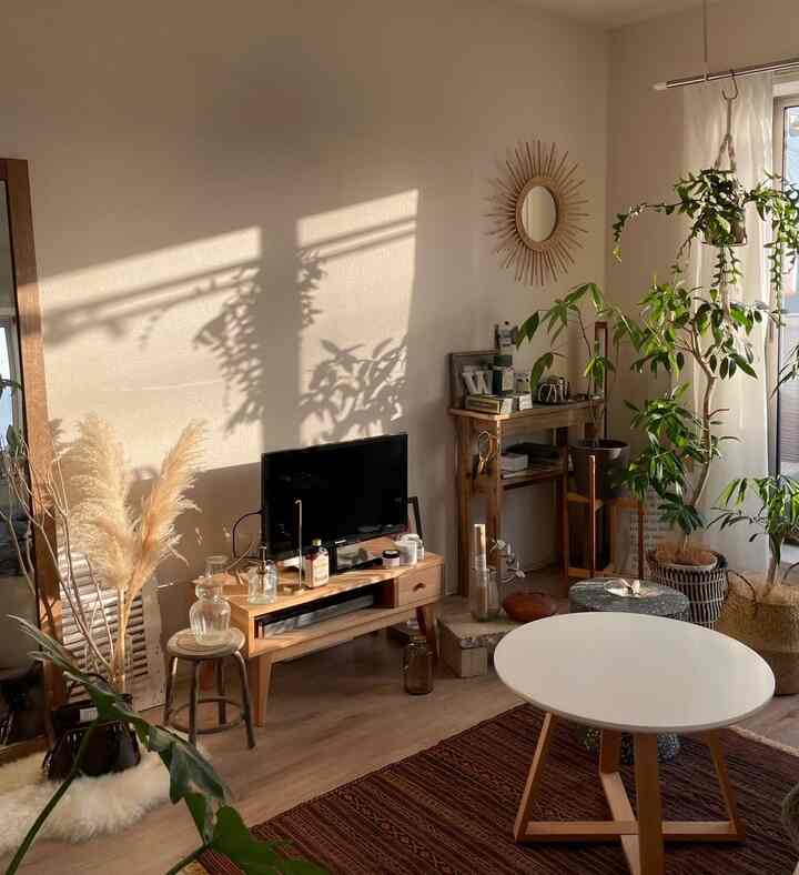 🇯🇵 間接照明と植物でつくる1K8.5畳のリラックス空間