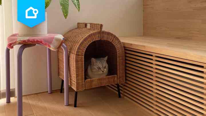 📌 【特集】こんなの欲しかった！お部屋に馴染むペット用品🐈