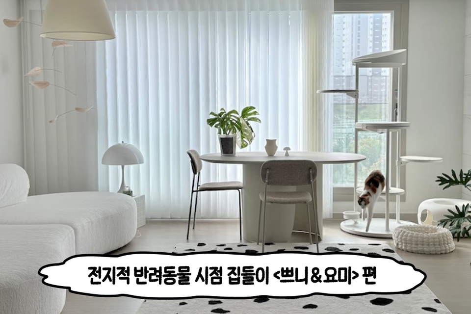 커버 이미지