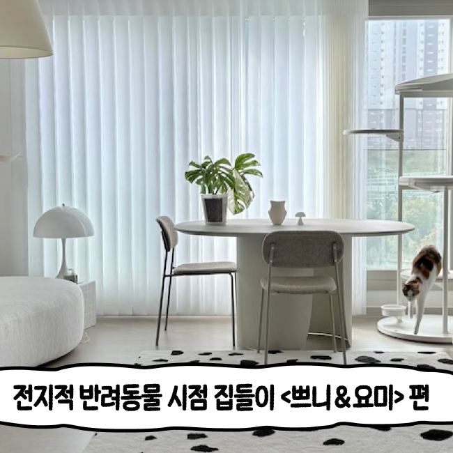 커버 이미지