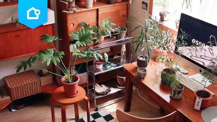📌 【特集】グリーンに囲まれたお部屋🌿
