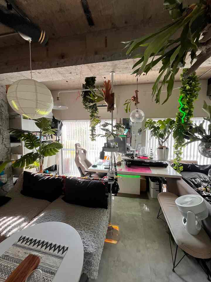 🇯🇵 1R｜NeonとGreenのインテリア実験ラボラトリー🧪