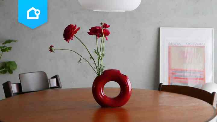 📌 【特集】この春には、花でお部屋に彩りを🌷