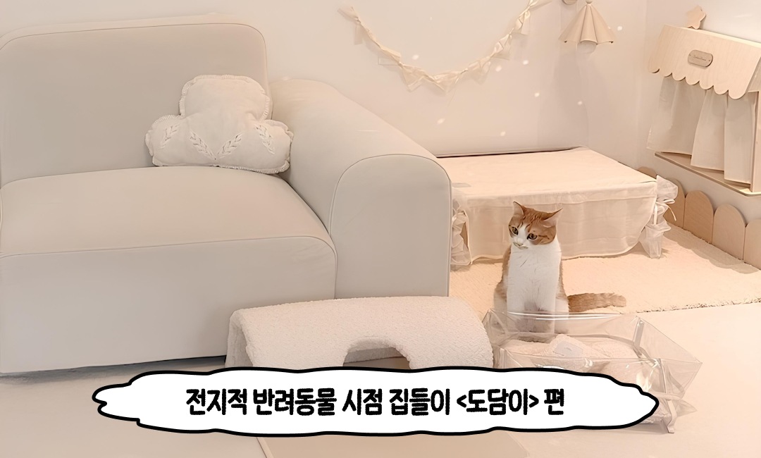 커버 이미지