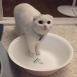 Kimi키미님의 프로필 이미지