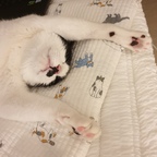__lazy.life님의 프로필 이미지