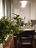 아바타 사진