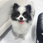 accaca90님의 프로필 이미지