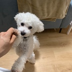 naag님의 프로필 이미지