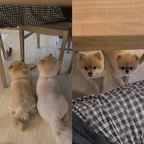 경구동구님의 프로필 이미지