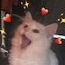 망다롱