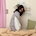 daining_home
