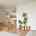 shogunhome
