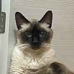 bcminimi님의 프로필 이미지