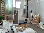 치치콩이모해님의 프로필 이미지