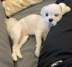 tyongf님의 프로필 이미지